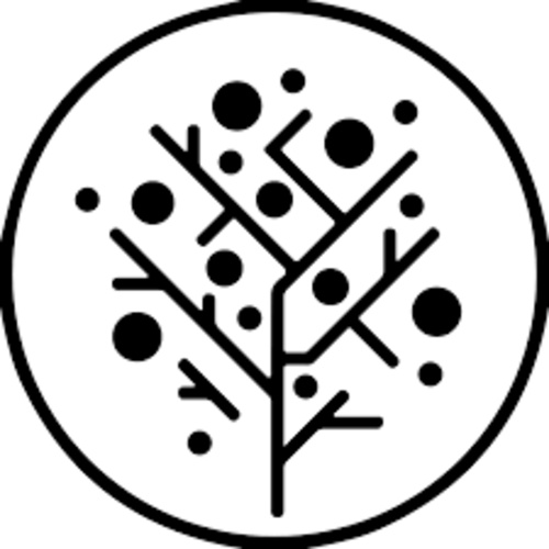 Nautex AI